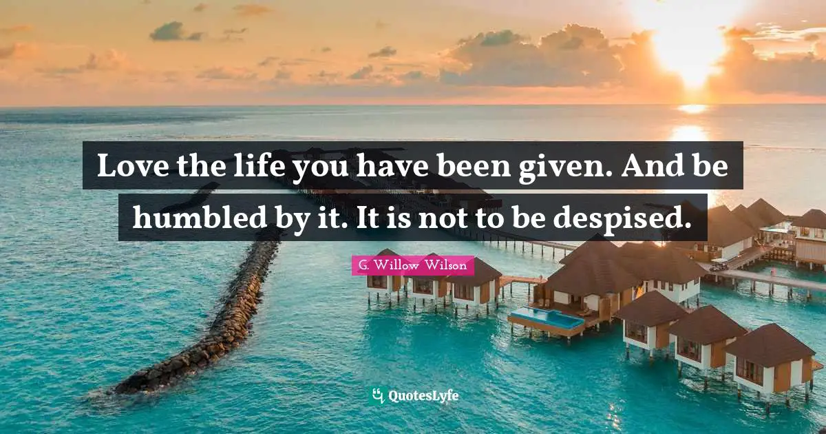 G. Willow Wilson Quotes: "Love the life you have been given. And be humbled by it. It is not to be despised."