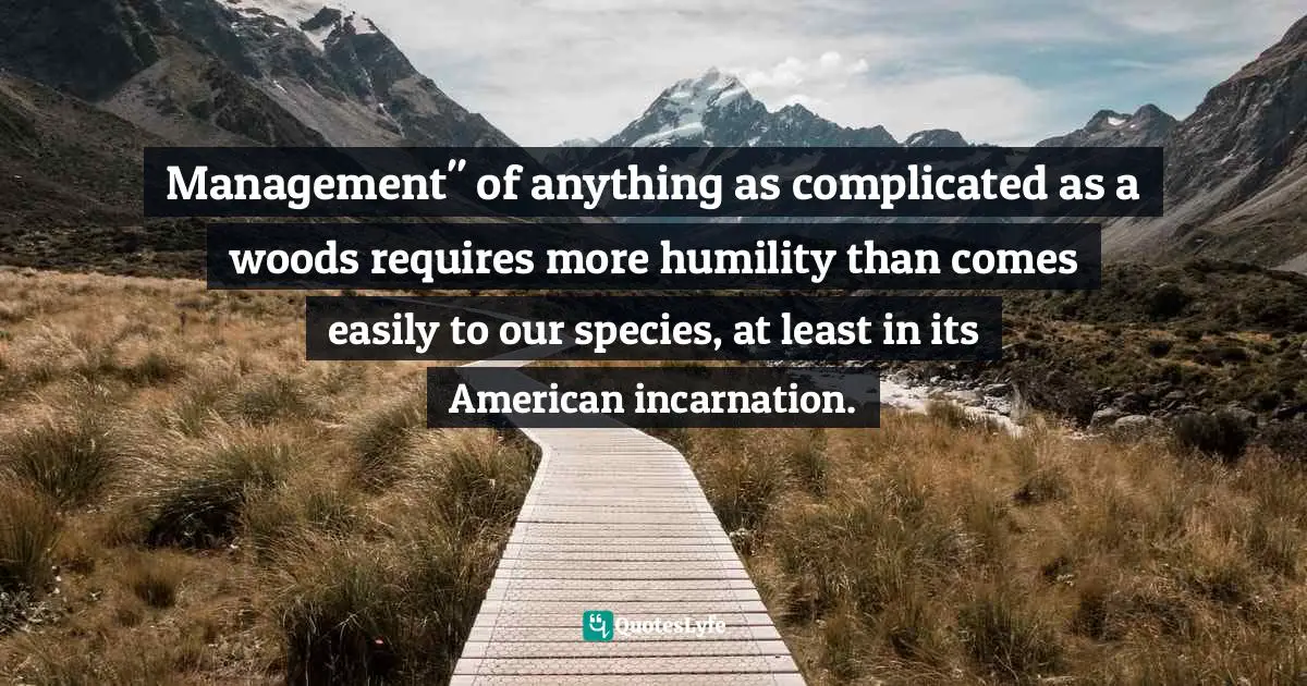 Management" of anything as complicated as a woods requires more humility than comes easily to our species, at least in its American incarnation.