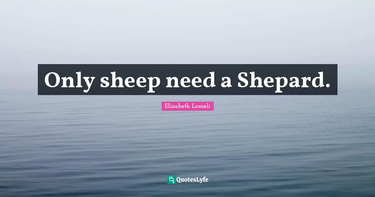 Only sheep need a Shepard.