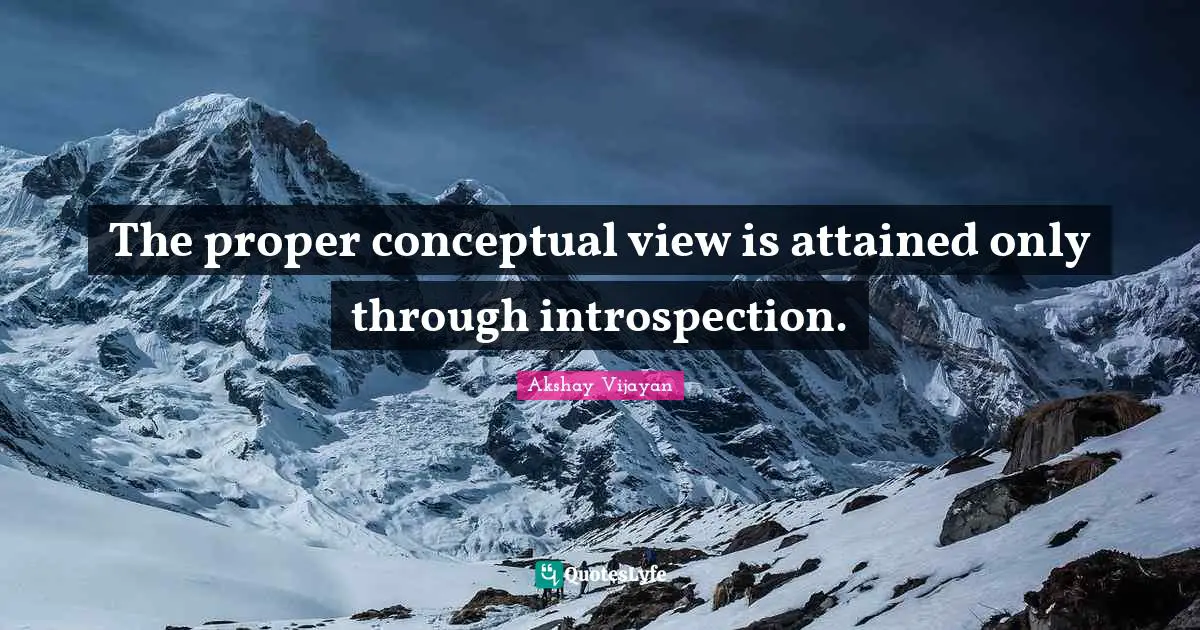 The proper conceptual view is attained only through introspection.