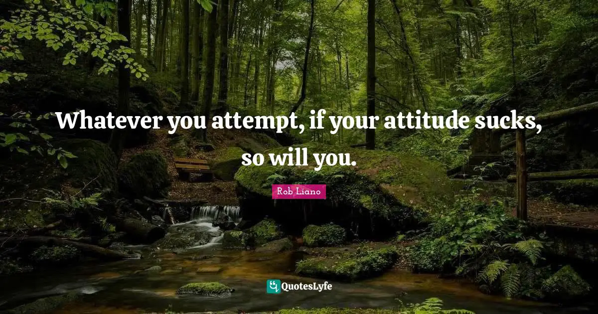 Whatever you attempt, if your attitude sucks, so will you.