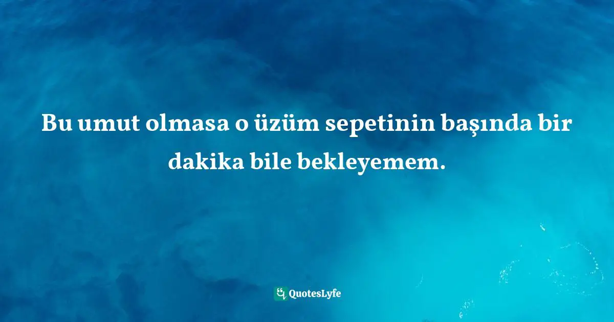 Bu umut olmasa o üzüm sepetinin başında bir dakika bile bekleyemem.