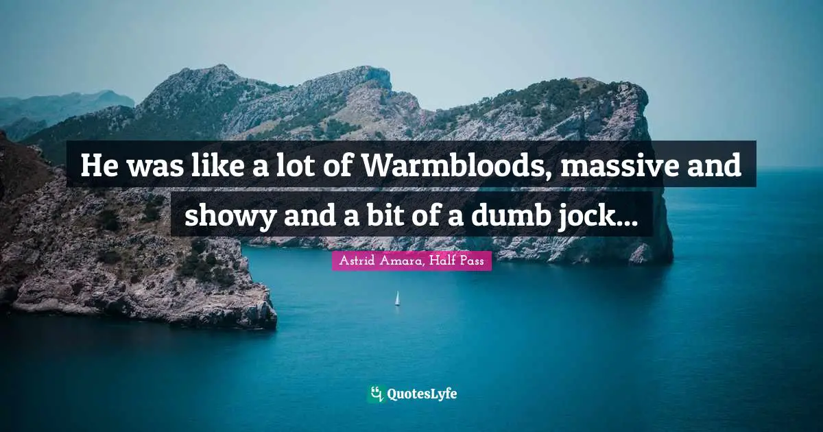 He was like a lot of Warmbloods, massive and showy and a bit of a dumb jock...