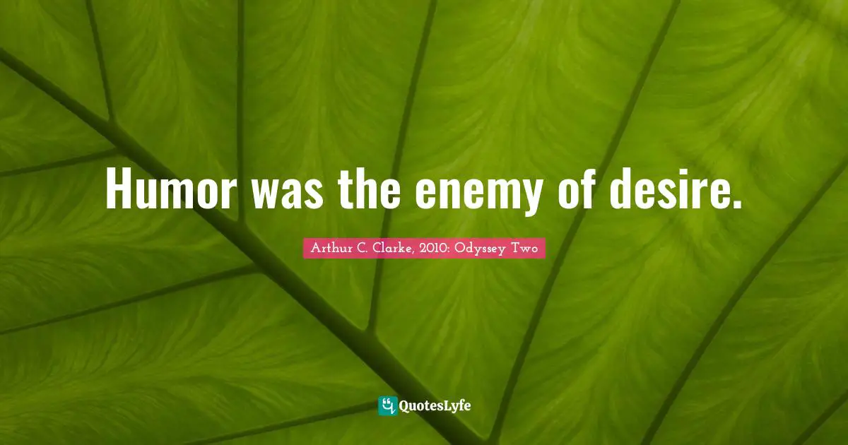 Humor was the enemy of desire.