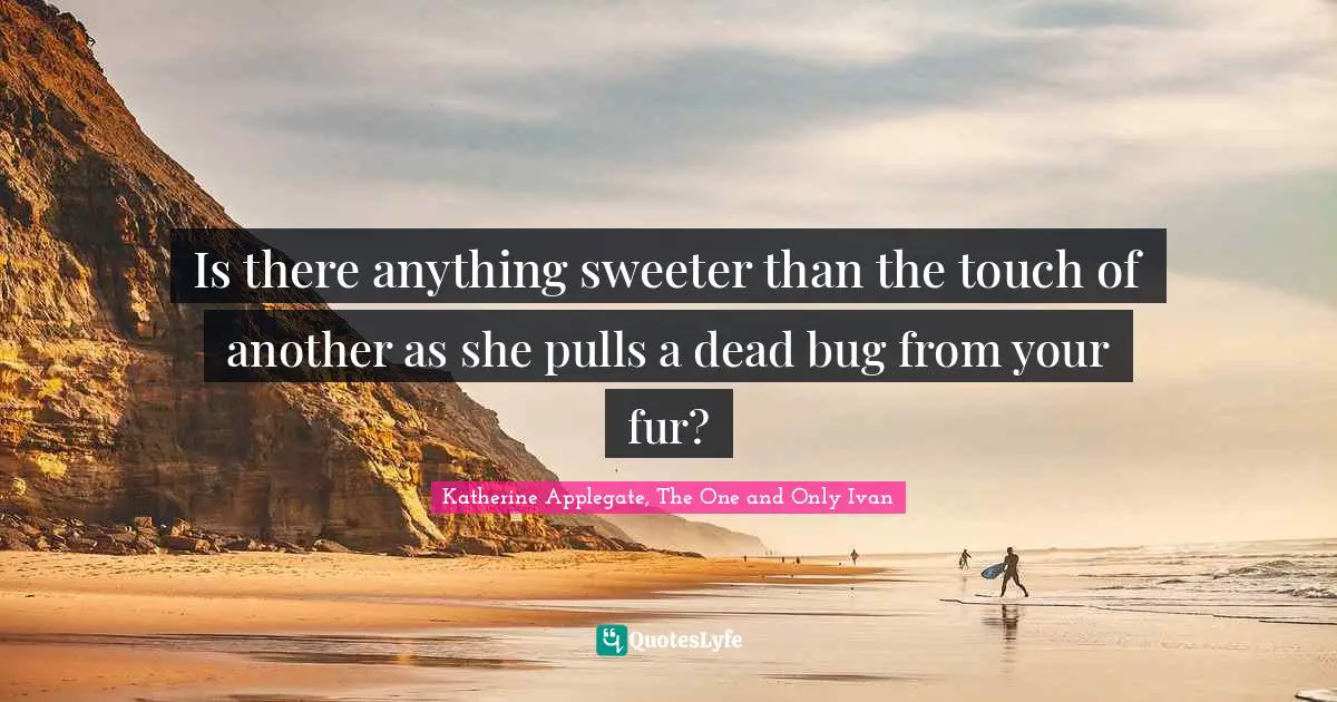 Katherine Applegate, The One And Only Ivan Quotes: "Is there anything sweeter than the touch of another as she pulls a dead bug from your fur?"