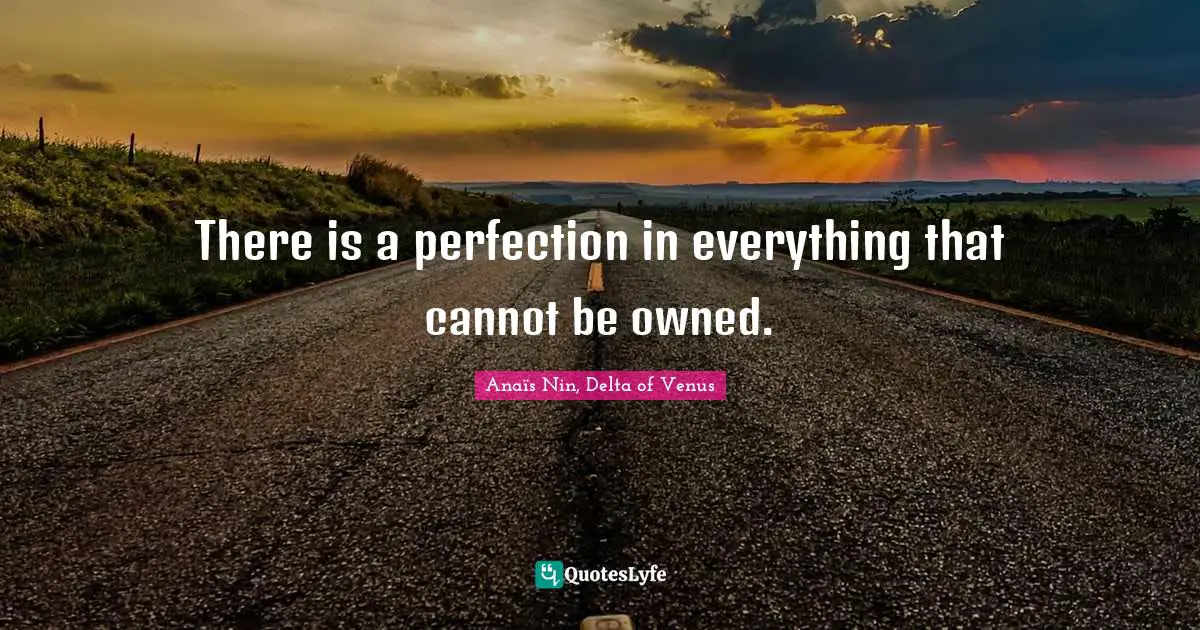 There is a perfection in everything that cannot be owned.