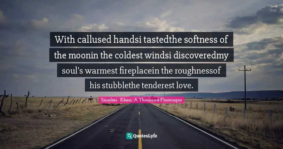 Sanober  Khan, A Thousand Flamingos Quotes: "With callused handsi tastedthe softness of the moonin the coldest windsi discoveredmy soul's warmest fireplacein the roughnessof his stubblethe tenderest love."