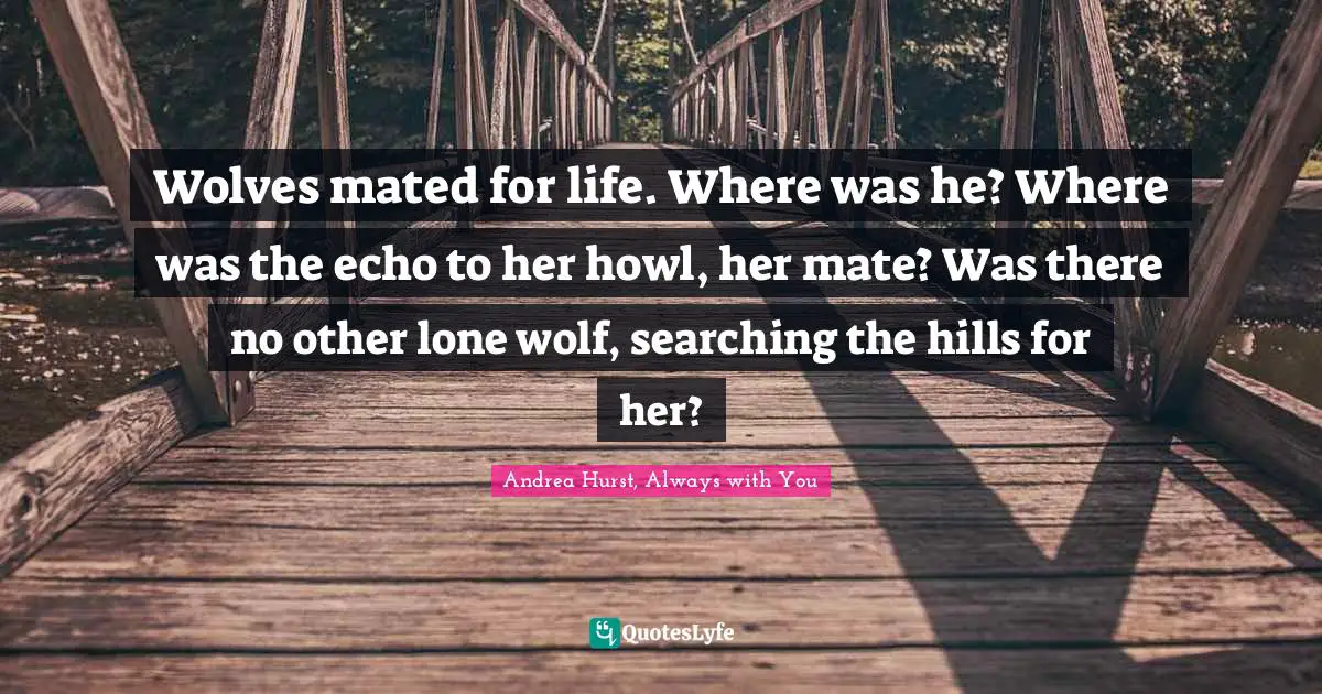 Wolves mated for life. Where was he? Where was the echo to her howl, her mate? Was there no other lone wolf, searching the hills for her?