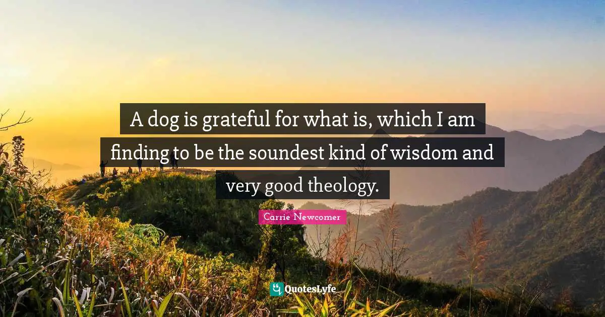 A dog is grateful for what is, which I am finding to be the soundest kind of wisdom and very good theology.