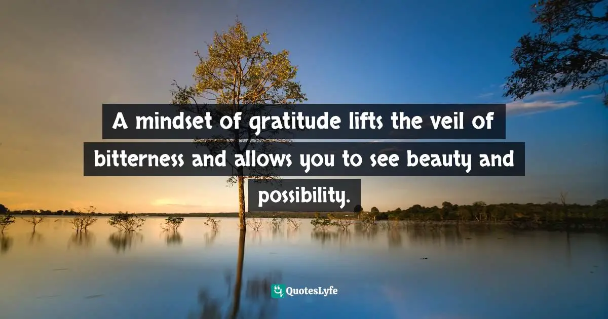 A mindset of gratitude lifts the veil of bitterness and allows you to see beauty and possibility.