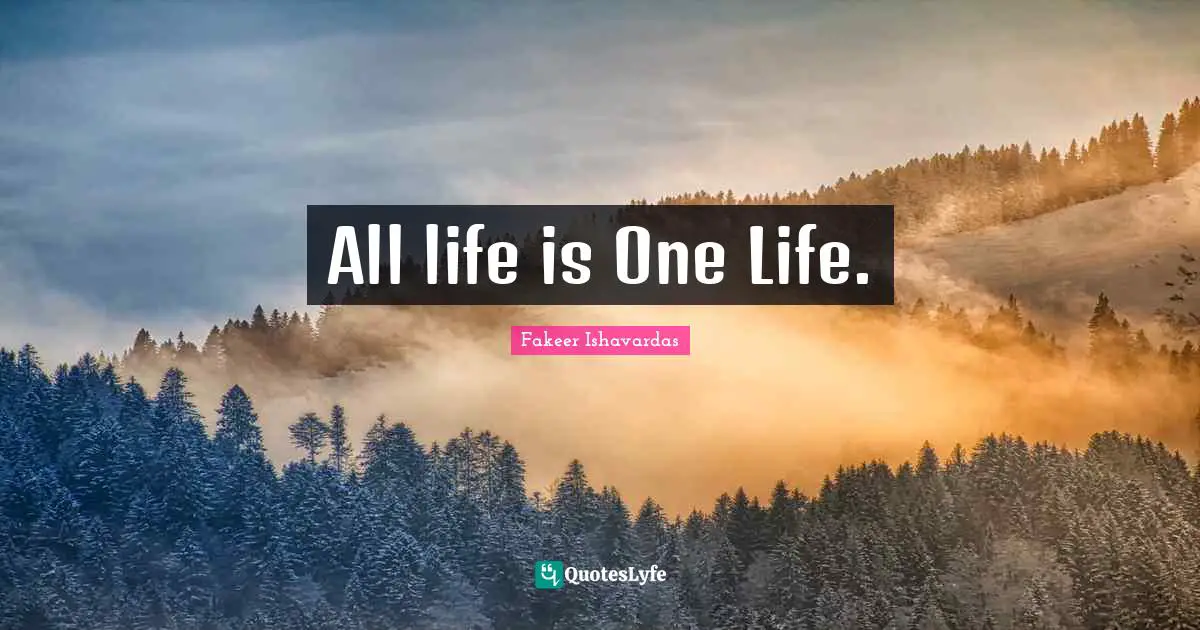 All life is One Life.