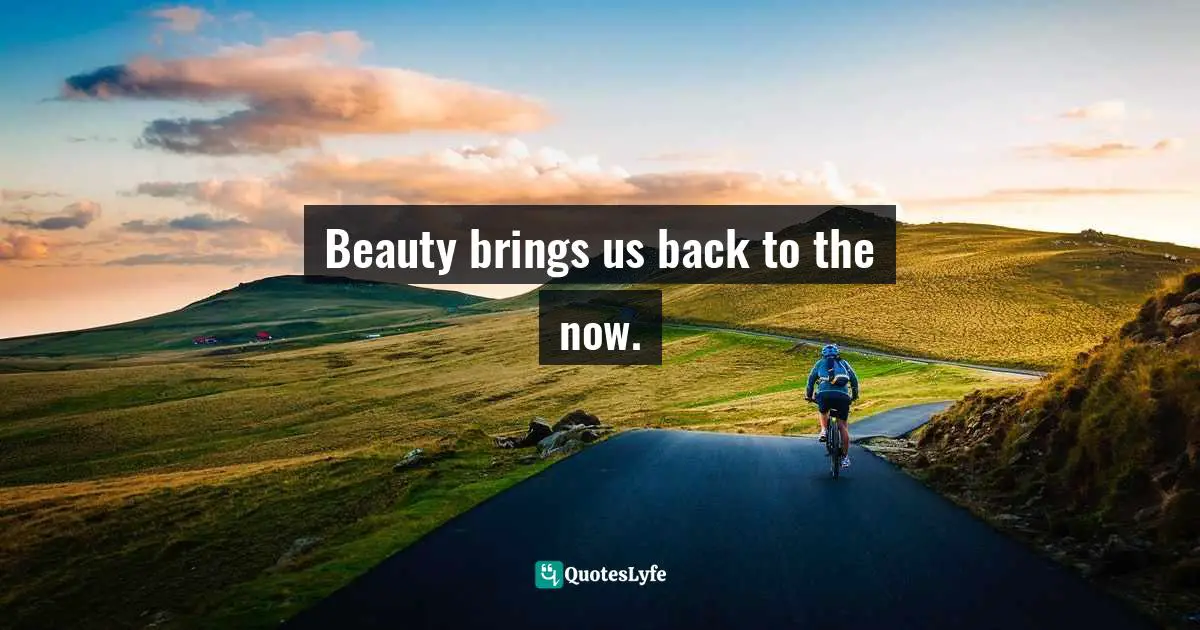 Beauty brings us back to the now.