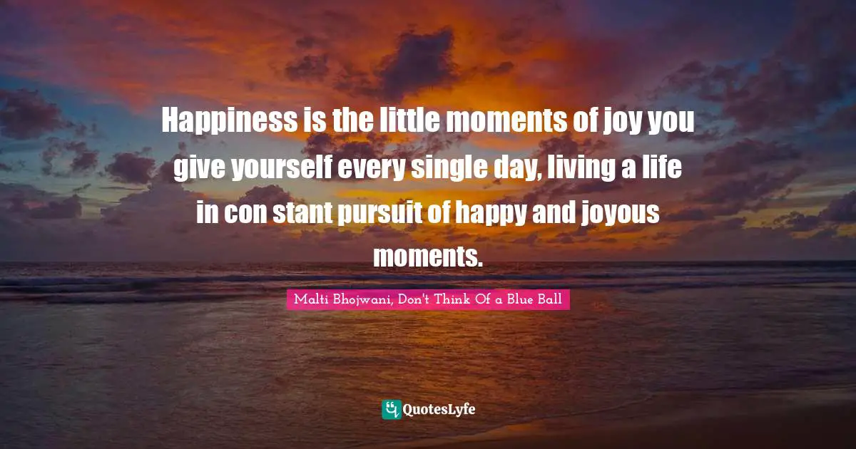 Happiness is the little moments of joy you give yourself every single day, living a life in con stant pursuit of happy and joyous moments.