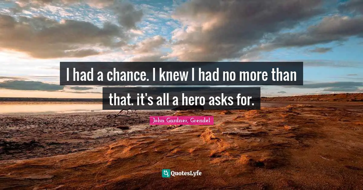 I had a chance. I knew I had no more than that. it's all a hero asks for.