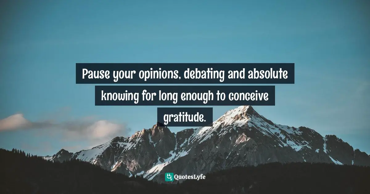Pause your opinions, debating and absolute knowing for long enough to conceive gratitude.