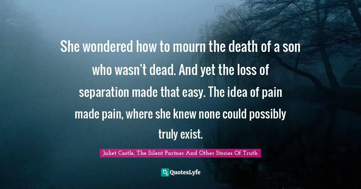 She wondered how to mourn the death of a son who wasn't dead. And yet the loss of separation made that easy. The idea of pain made pain, where she knew none could possibly truly exist.