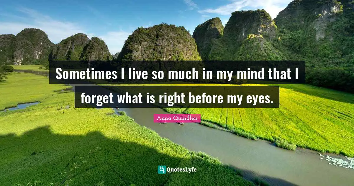 Sometimes I live so much in my mind that I forget what is right before my eyes.