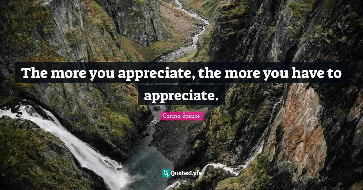 The more you appreciate, the more you have to appreciate.