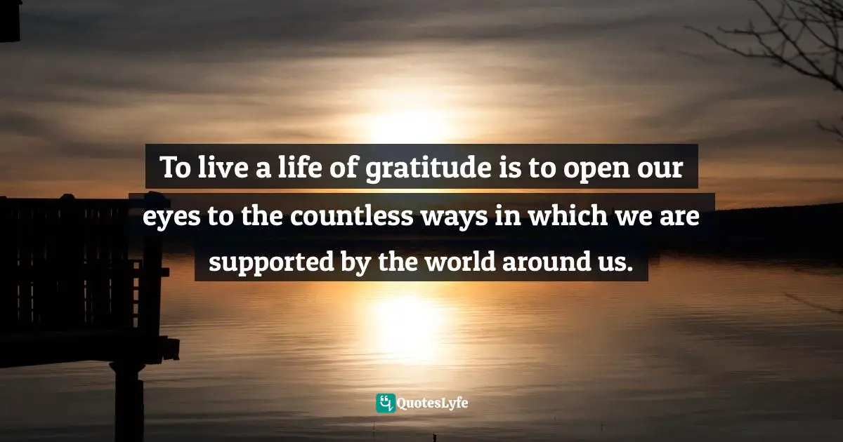 To live a life of gratitude is to open our eyes to the countless ways in which we are supported by the world around us.