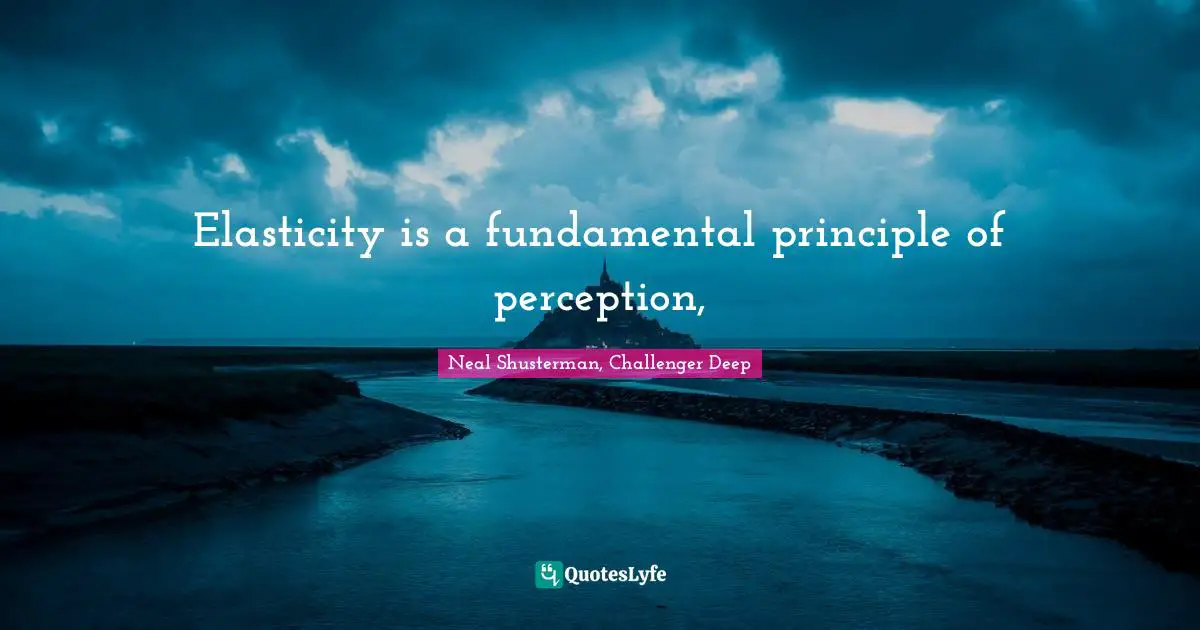 Neal Shusterman, Challenger Deep Quotes: "Elasticity is a fundamental principle of perception, "