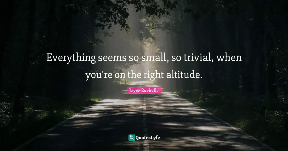 Big Problems Quotes: "Everything seems so small, so trivial, when you're on the right altitude."