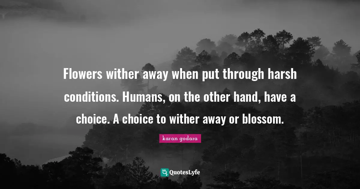 Flowers wither away when put through harsh conditions. Humans, on the other hand, have a choice. A choice to wither away or blossom.