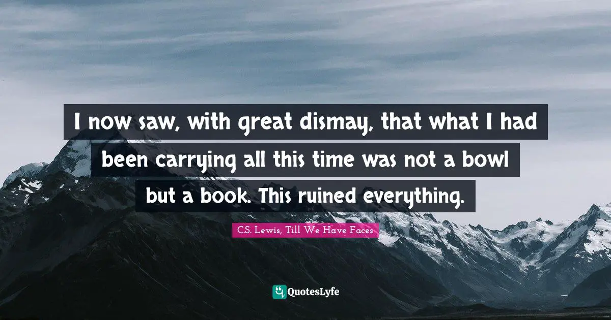 I now saw, with great dismay, that what I had been carrying all this time was not a bowl but a book. This ruined everything.
