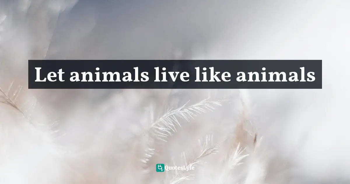 Let animals live like animals