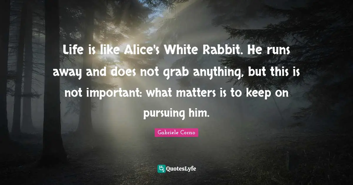 Life is like Alice's White Rabbit. He runs away and does not grab anything, but this is not important: what matters is to keep on pursuing him.