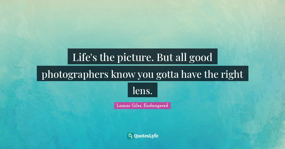 Life's the picture. But all good photographers know you gotta have the right lens.
