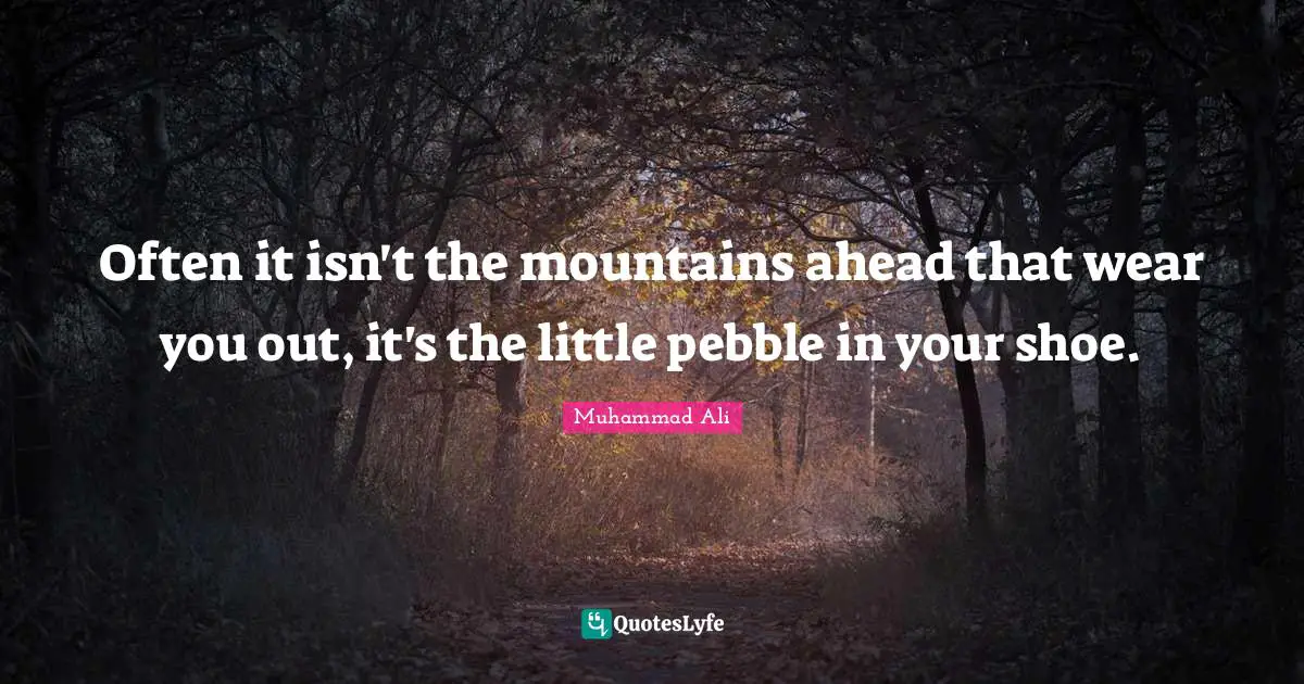 Often it isn't the mountains ahead that wear you out, it's the little pebble in your shoe.