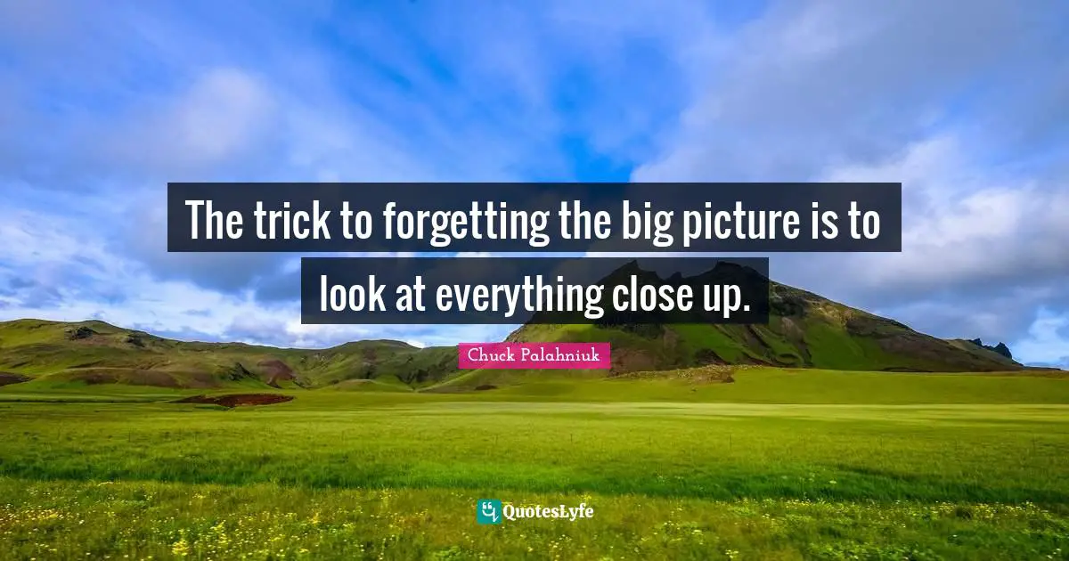 The trick to forgetting the big picture is to look at everything close up.