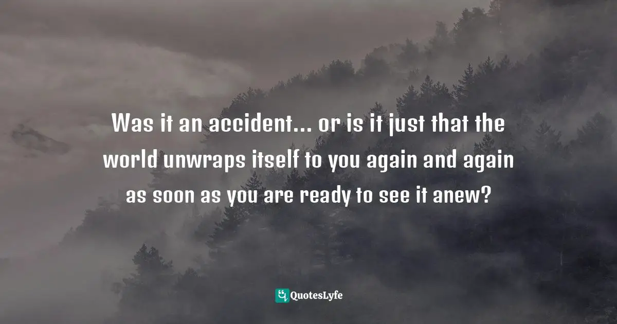 Was it an accident... or is it just that the world unwraps itself to you again and again as soon as you are ready to see it anew?