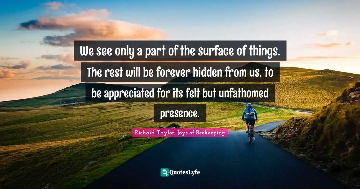 We see only a part of the surface of things. The rest will be forever hidden from us, to be appreciated for its felt but unfathomed presence.