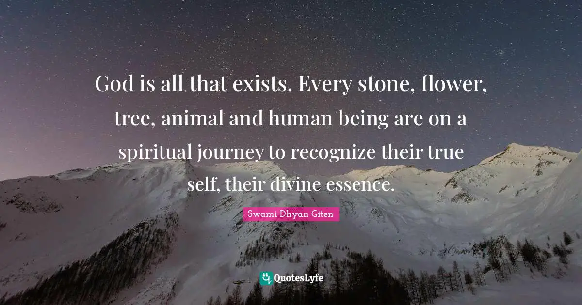 God is all that exists. Every stone, flower, tree, animal and human being are on a spiritual journey to recognize their true self, their divine essence.