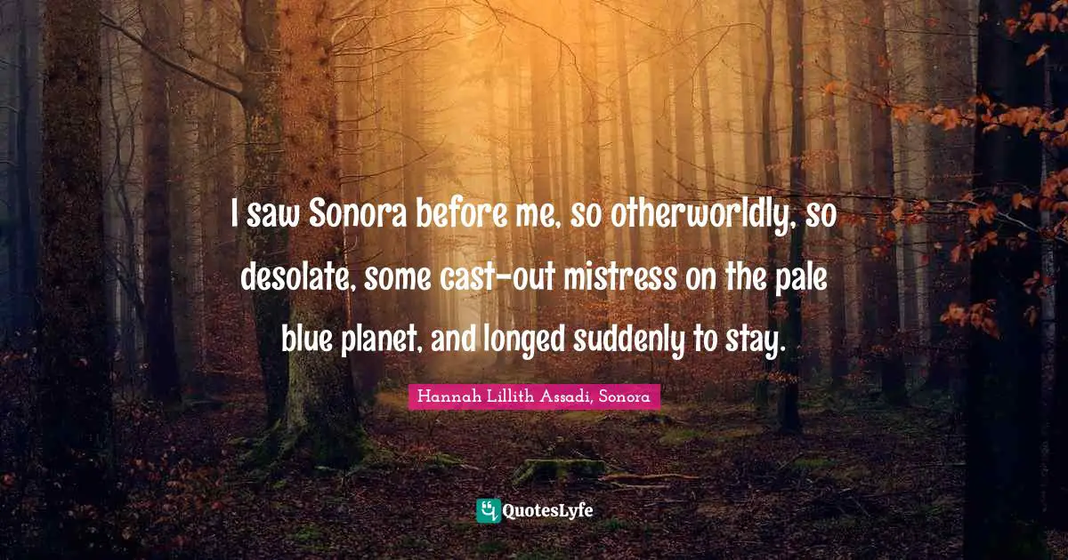 I saw Sonora before me, so otherworldly, so desolate, some cast-out mistress on the pale blue planet, and longed suddenly to stay.