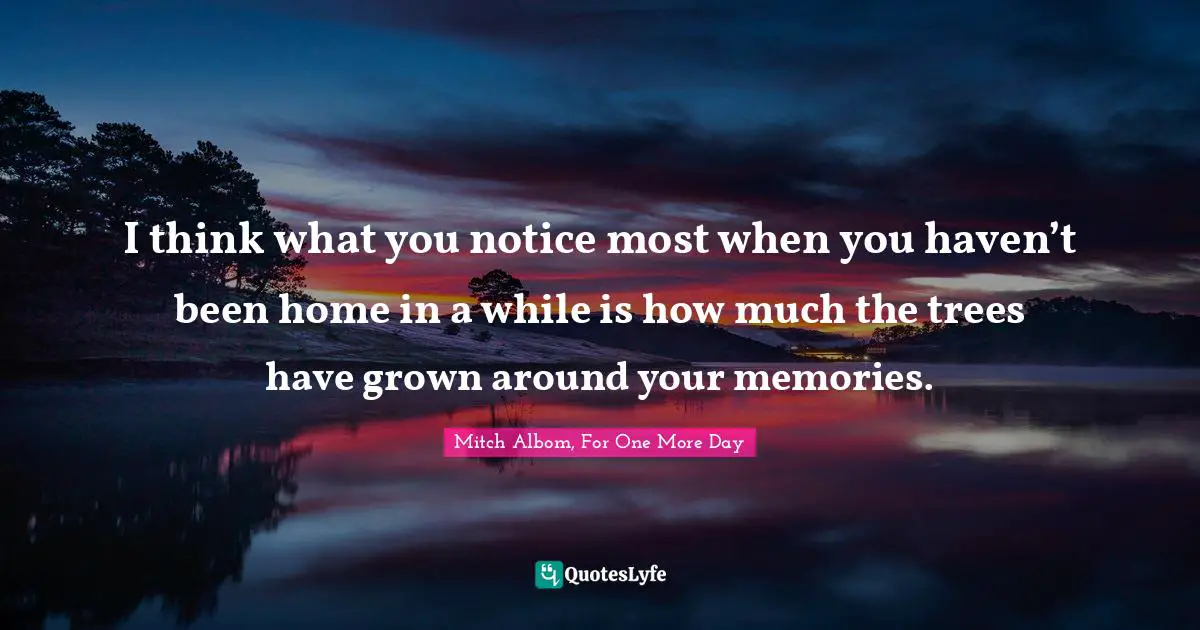 I think what you notice most when you haven’t been home in a while is how much the trees have grown around your memories.