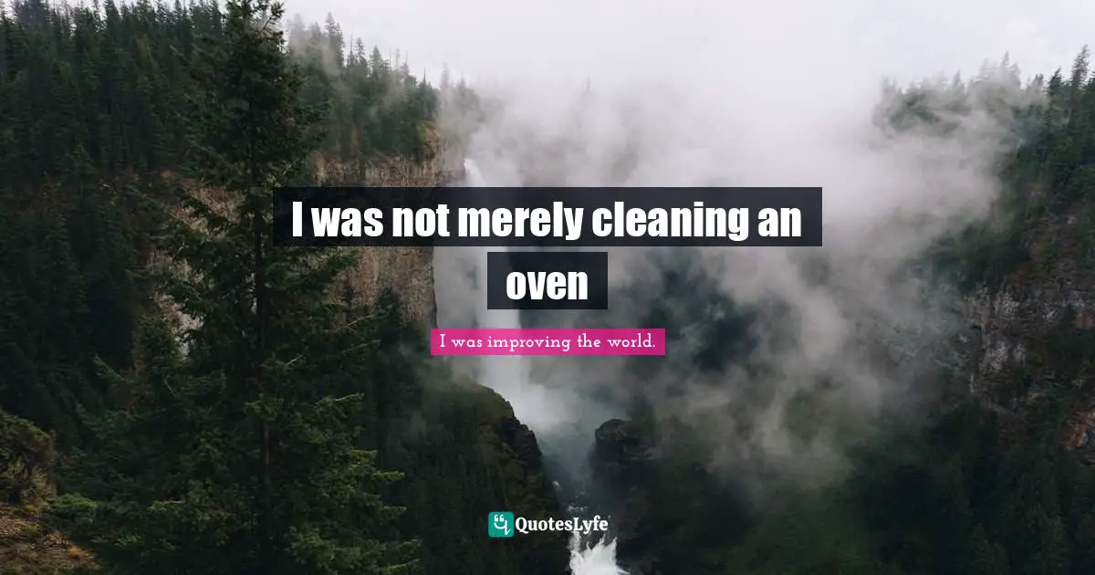 I was not merely cleaning an oven