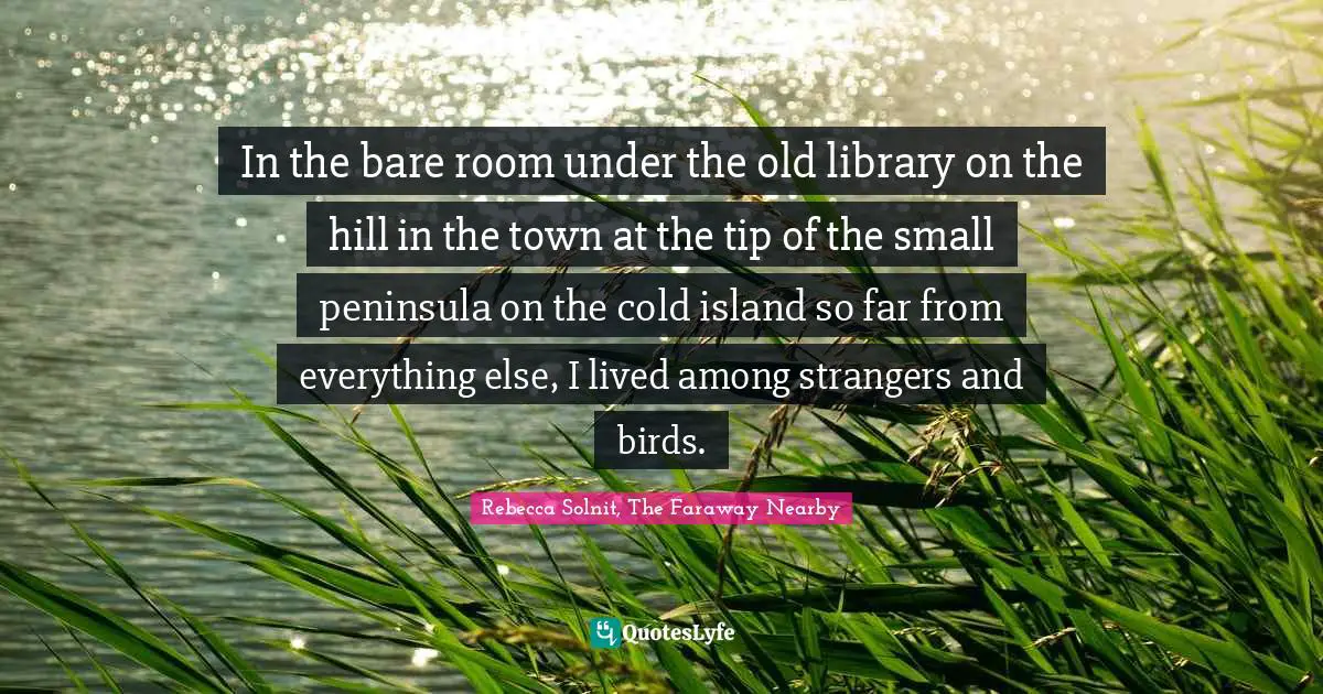 In the bare room under the old library on the hill in the town at the tip of the small peninsula on the cold island so far from everything else, I lived among strangers and birds.