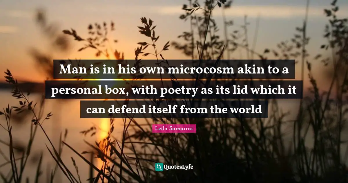 Man is in his own microcosm akin to a personal box, with poetry as its lid which it can defend itself from the world