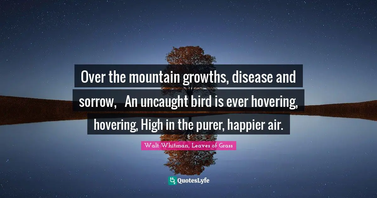 Over the mountain growths, disease and sorrow, 	 An uncaught bird is ever hovering, hovering, High in the purer, happier air.