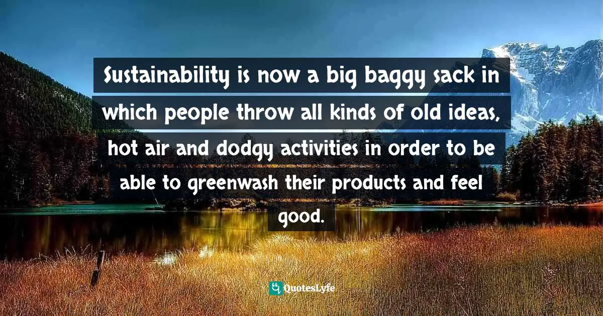 Sustainability is now a big baggy sack in which people throw all kinds of old ideas, hot air and dodgy activities in order to be able to greenwash their products and feel good.