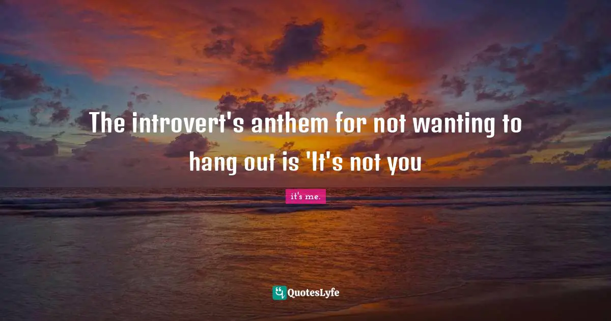 The introvert's anthem for not wanting to hang out is 'It's not you
