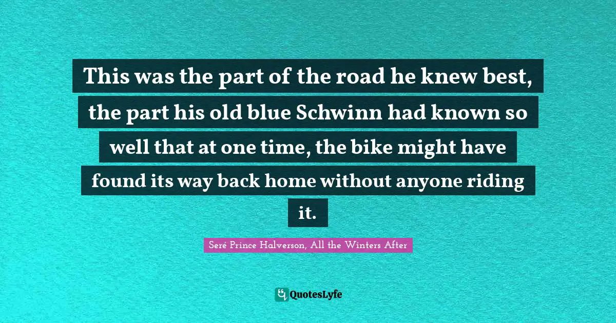 This was the part of the road he knew best, the part his old blue Schwinn had known so well that at one time, the bike might have found its way back home without anyone riding it.