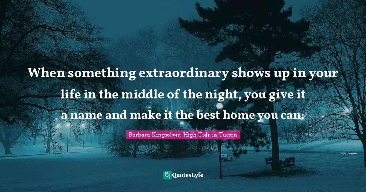 When something extraordinary shows up in your life in the middle of the night, you give it a name and make it the best home you can.