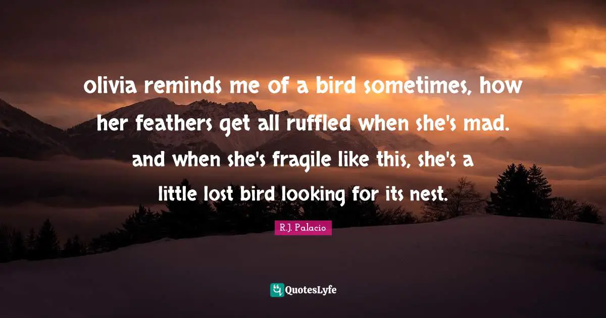 R.J. Palacio Quotes: "olivia reminds me of a bird sometimes, how her feathers get all ruffled when she's mad. and when she's fragile like this, she's a little lost bird looking for its nest."