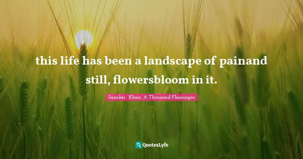 Sanober  Khan, A Thousand Flamingos Quotes: "this life has been a landscape of painand still, flowersbloom in it."