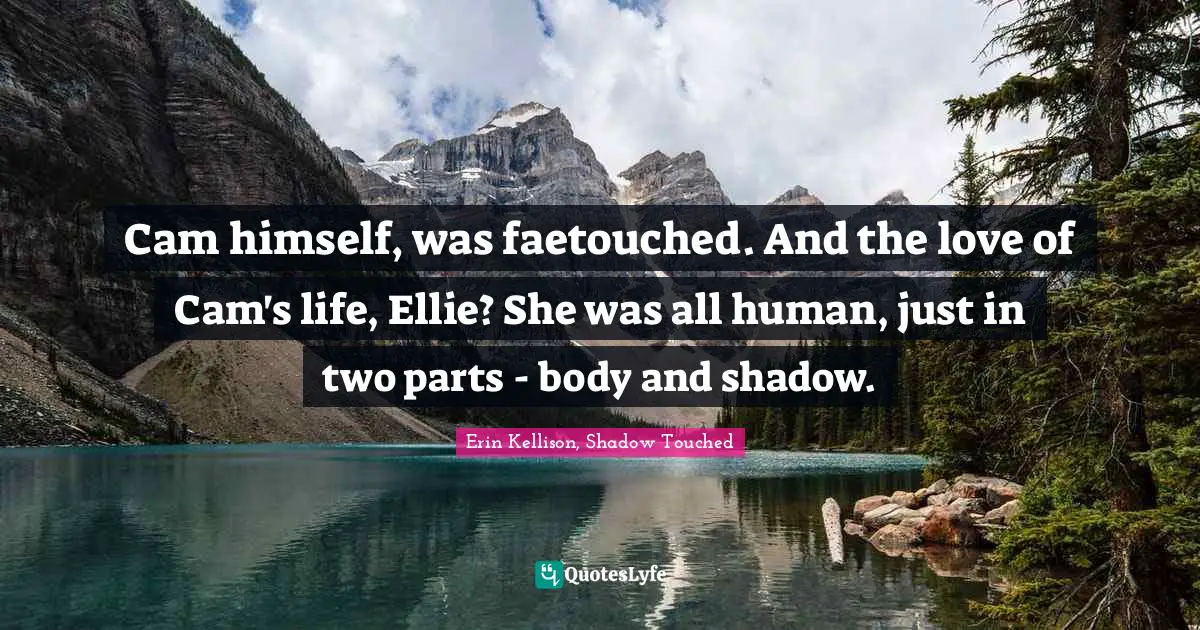 Cam himself, was faetouched. And the love of Cam's life, Ellie? She was all human, just in two parts - body and shadow.
