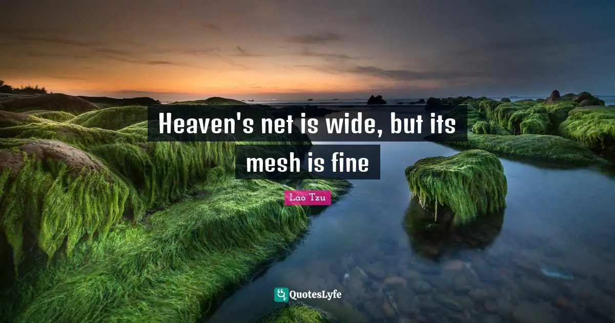 Heaven's net is wide, but its mesh is fine