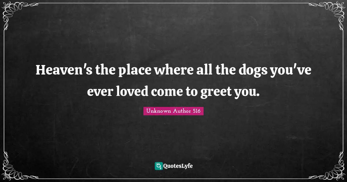 Heaven's the place where all the dogs you've ever loved come to greet you.